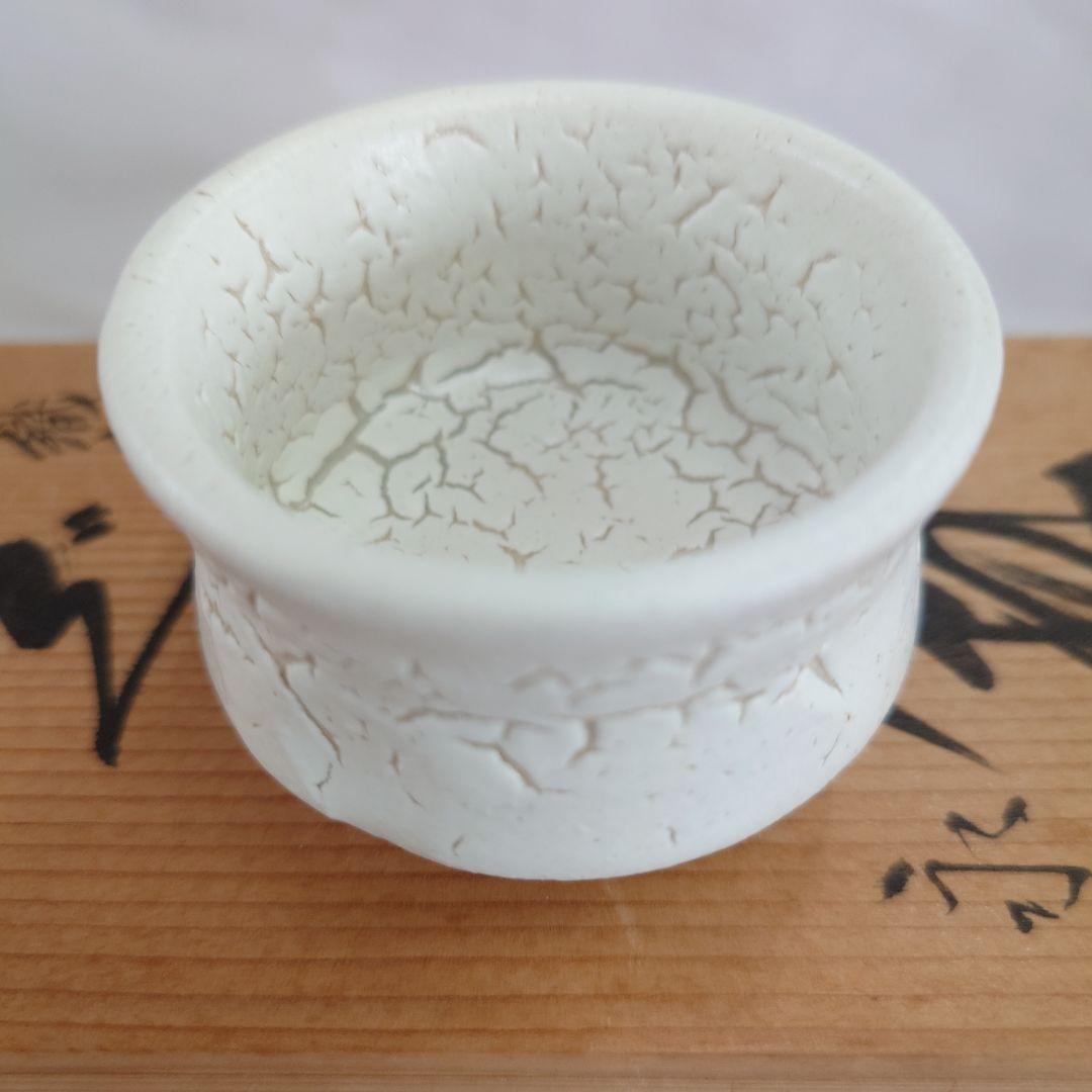 美濃 織部 志野　ぐい呑みセット