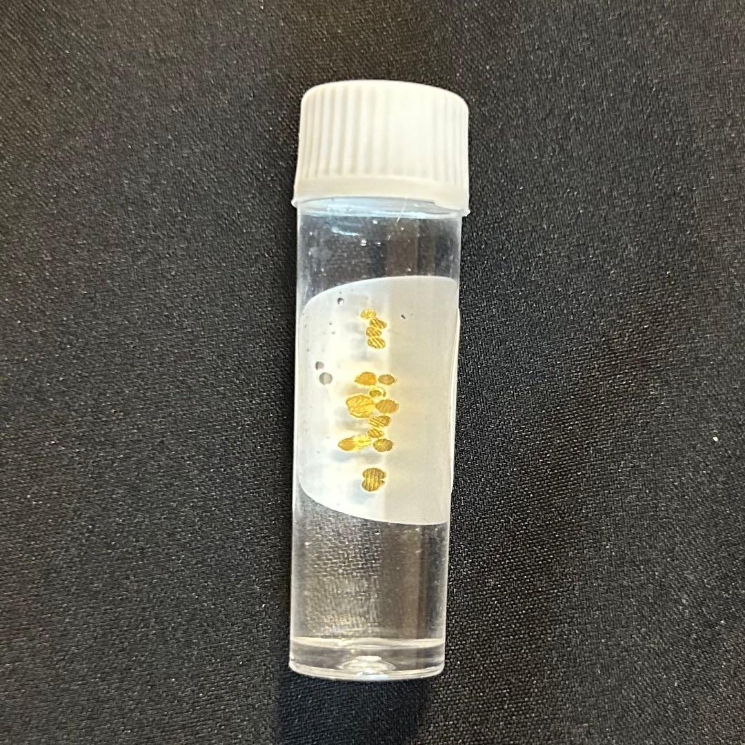 土肥金山 砂金 純金24K 15粒 - メルカリ