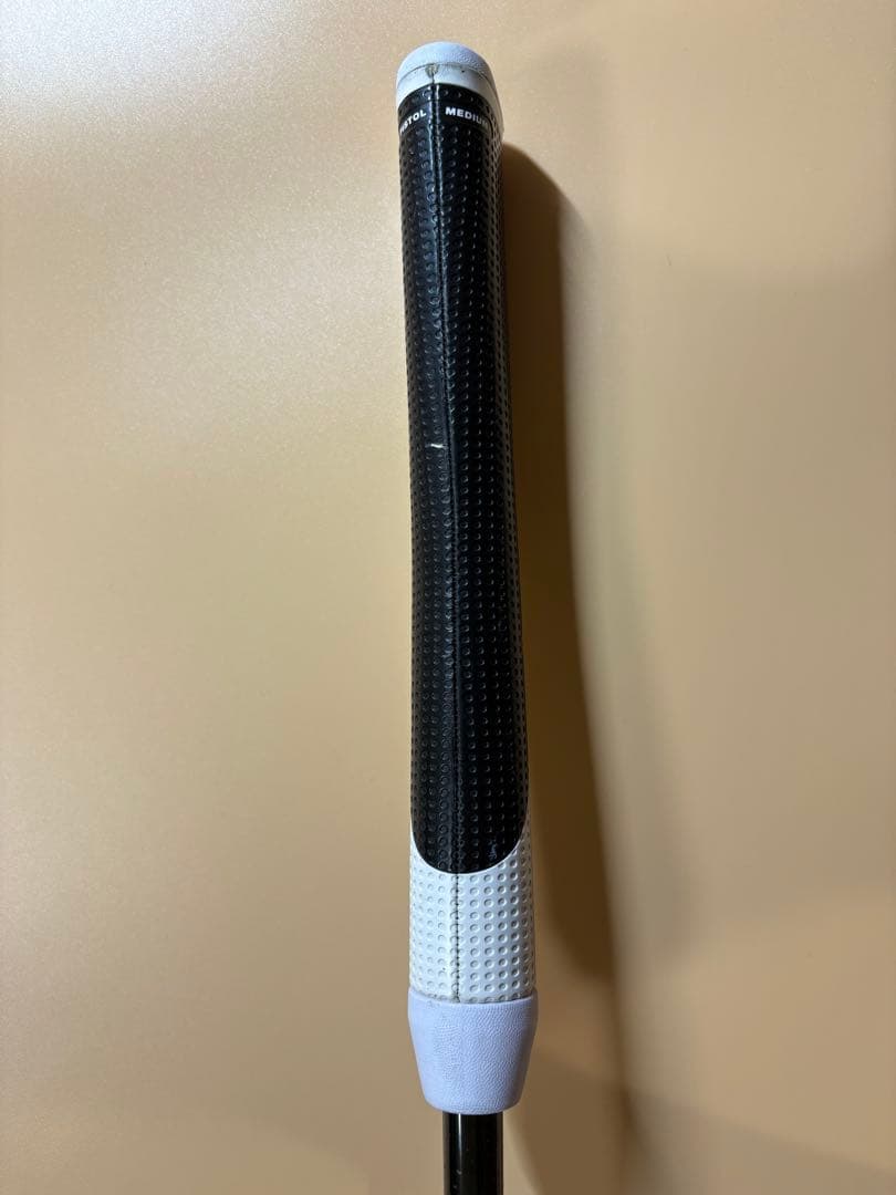 テーラーメイド スパイダーＸ ブルー ホワイト スモールスラント