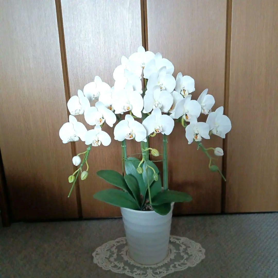 専用 ホワイト胡蝶蘭3本立ち クレイフラワー
