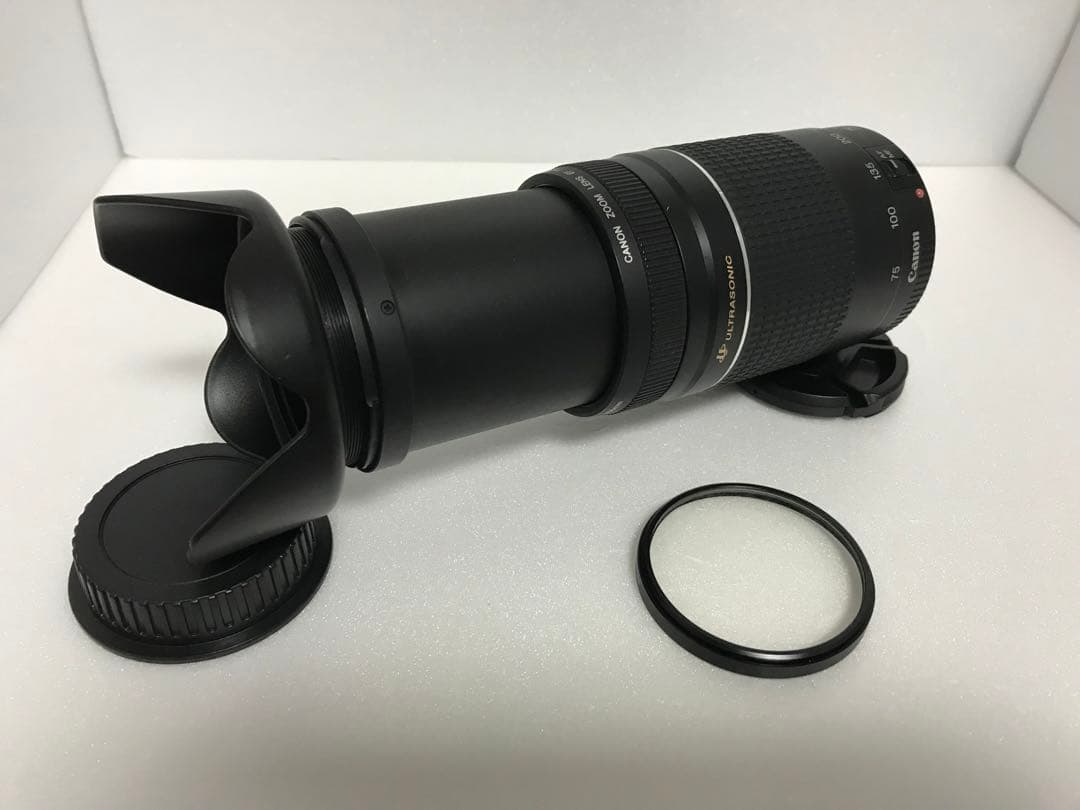 キャノン/フード付/迫力の300mm/Canon EF75-300 mm