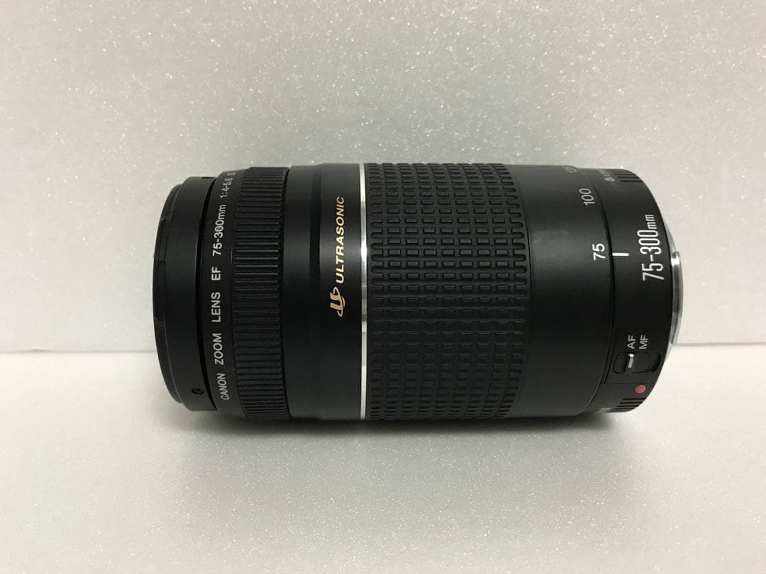 キャノン/フード付/迫力の300mm/Canon EF75-300 mm
