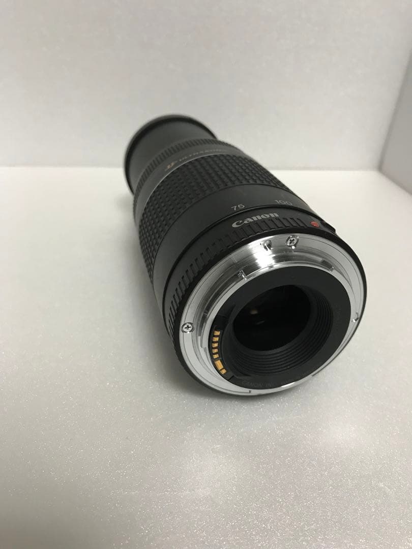 キャノン/フード付/迫力の300mm/Canon EF75-300 mm