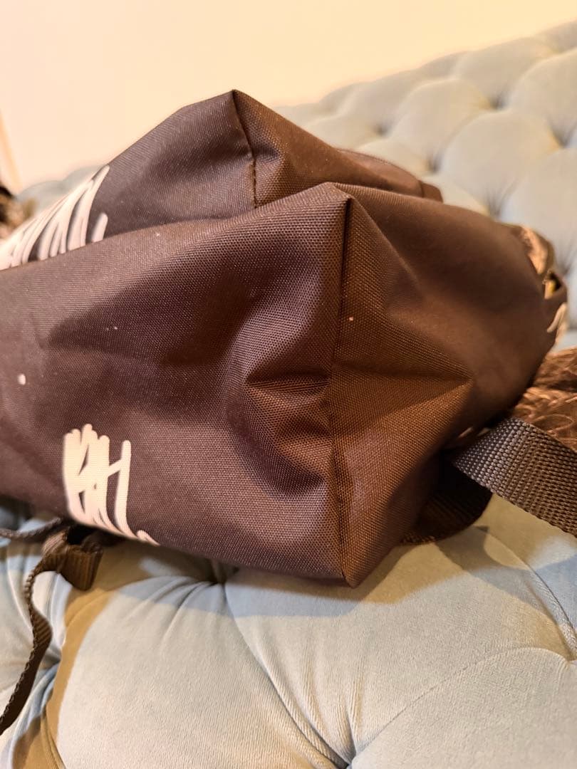 Vivienne Westwood×EASTPAK PADDED PAK'R