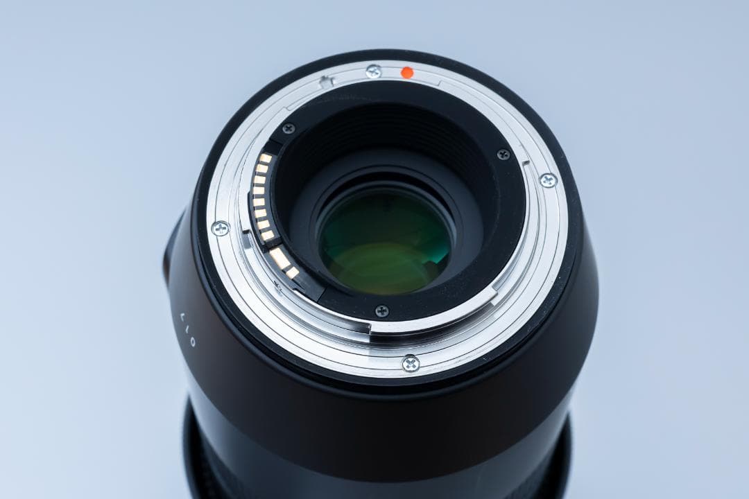 ※おまけ着きSIGMA 100-400mm F5-6.3 DG OS HSM