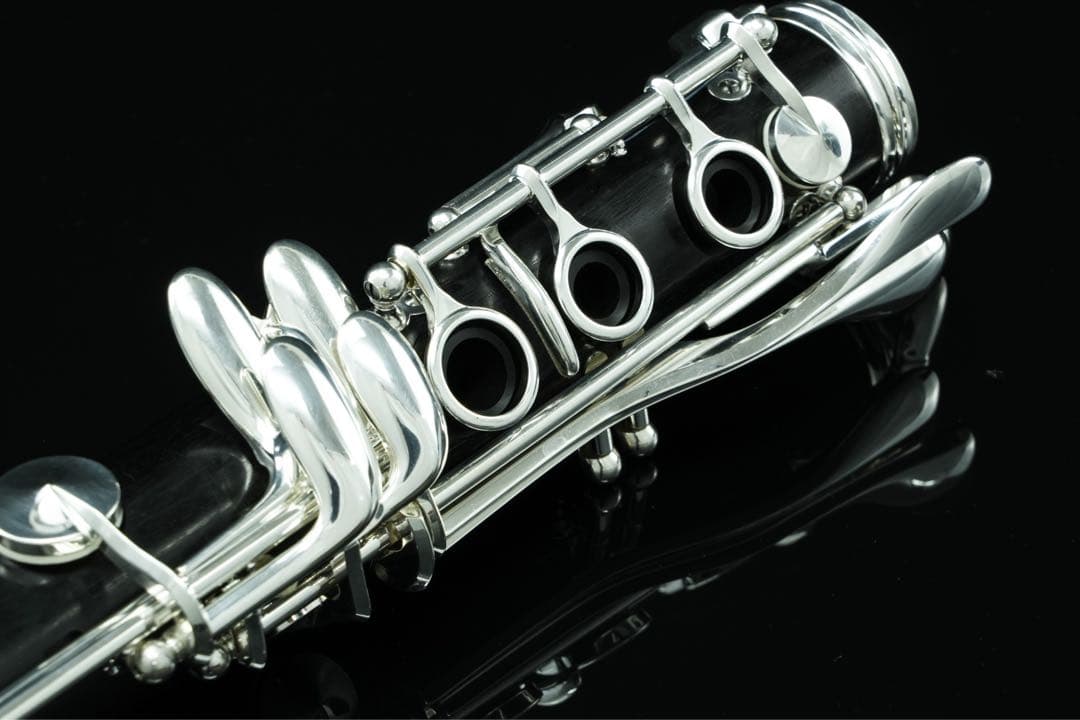 【極美品 メンテナンス済】　Buffet Crampon R13 クラリネット