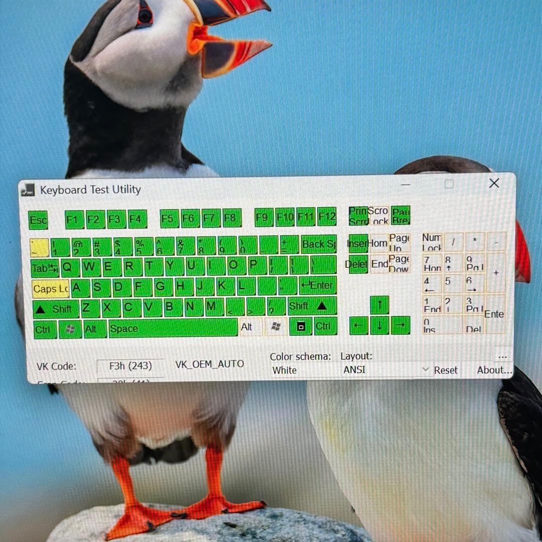 【高性能・軽量】i5第11世代✨東芝 ダイナブック Windows11 SSD