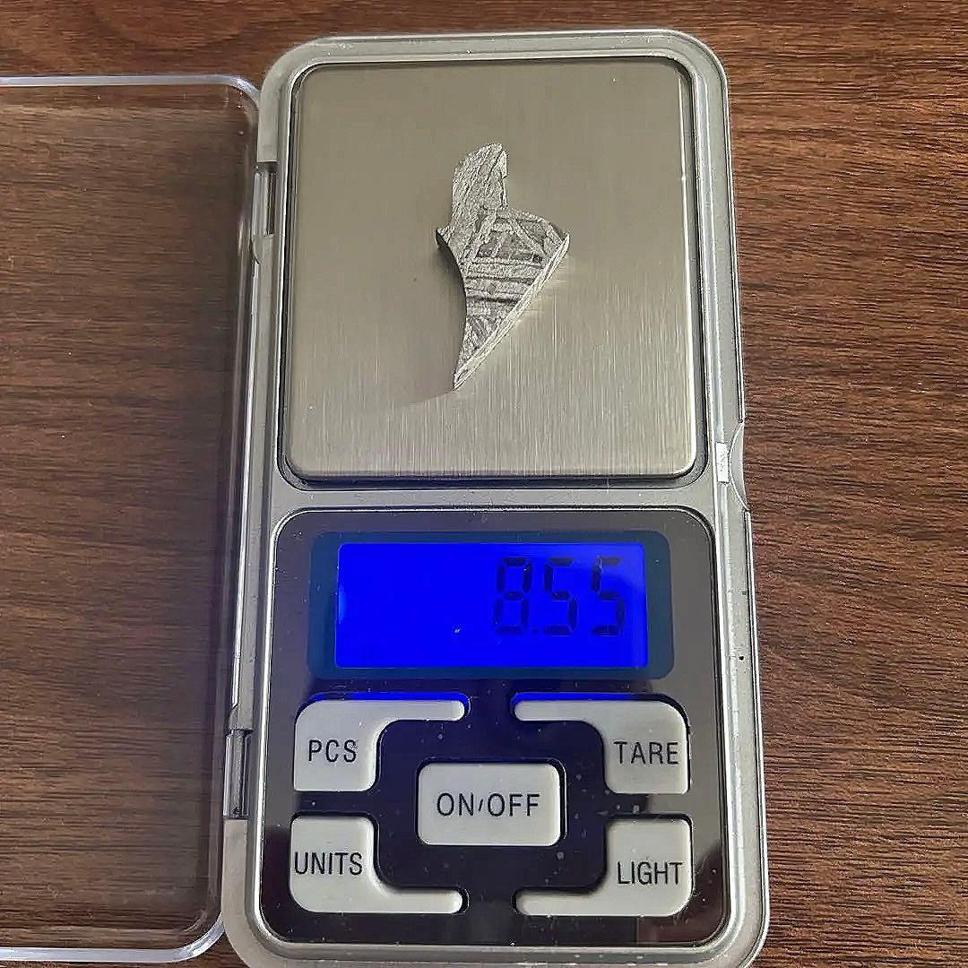 日本画 赤竹のシルエット画 東坡遺意(とうはのいをのこす)の通販