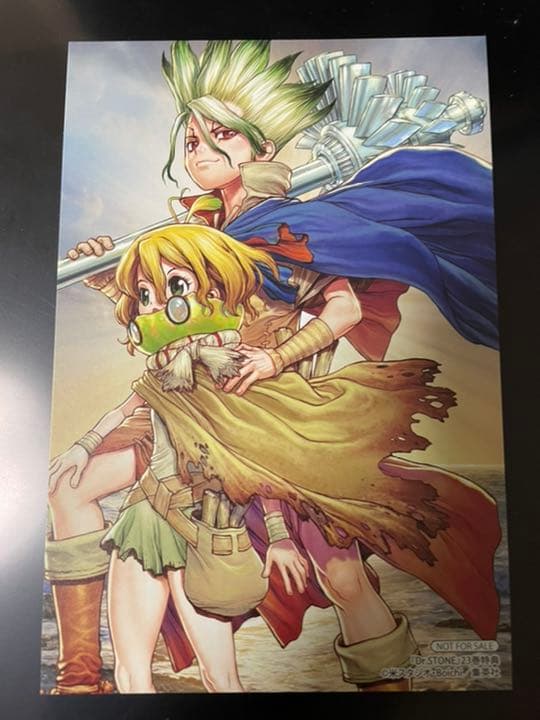 ドクターストーン Dr.STONE 22巻特典 ポストカード 千空 スイカ - メルカリ
