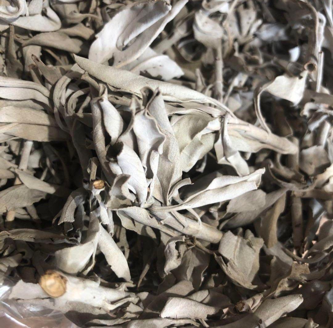 激安価格タイムセール☆無農薬ホワイトセージ枝付きクラスター1KG業務用価額