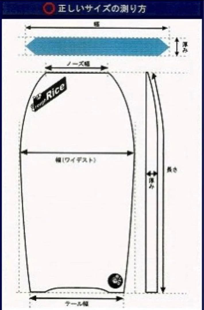 ボディーボード ローカルモーション クラウディアサントスモデルの通販