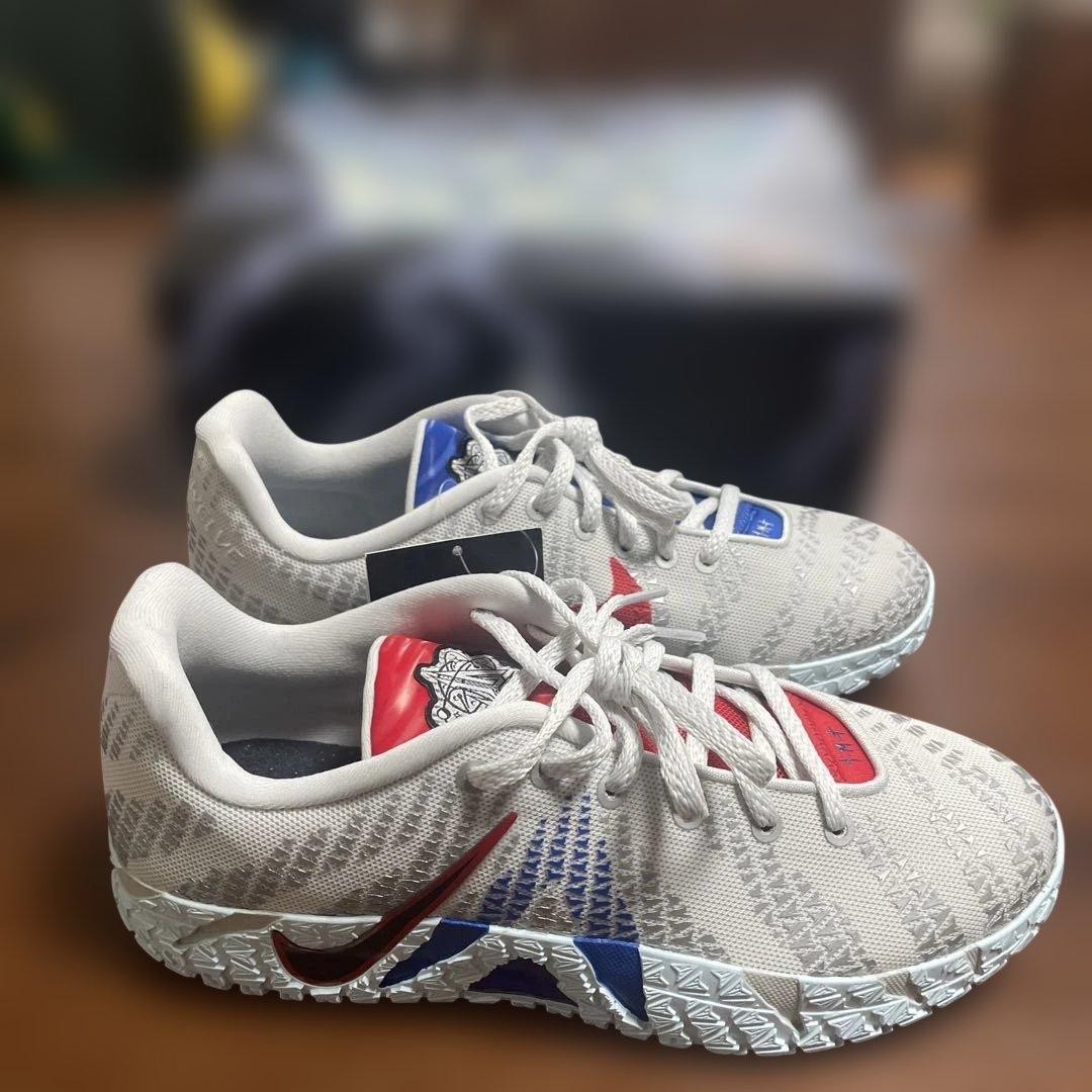 バスケットボールシューズ グレー/レッド/ブルー