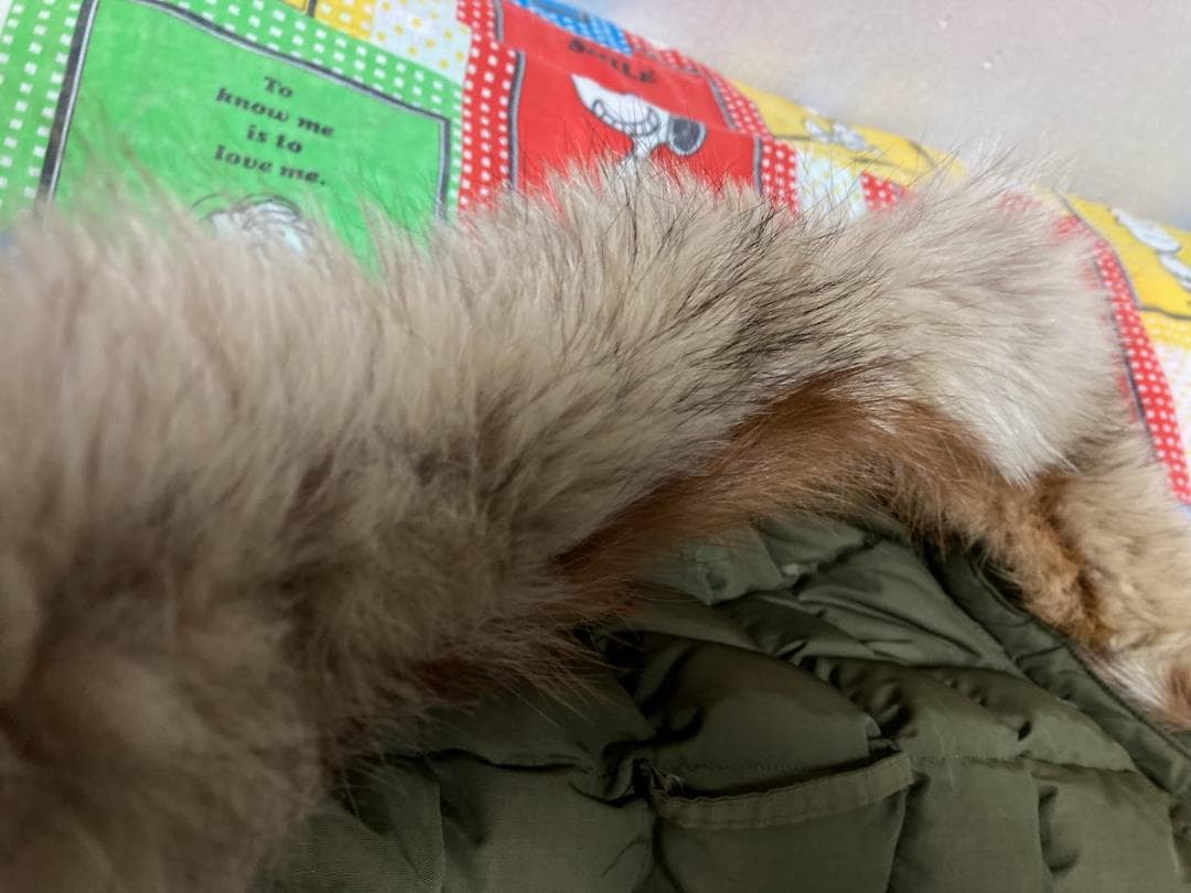 ポーラーパーカー エディーバウアー タグ無し コヨーテファー