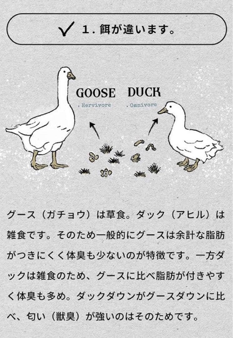 ブルックリンアウトドアカンパニ シュラフ グースダウン450g 800FP