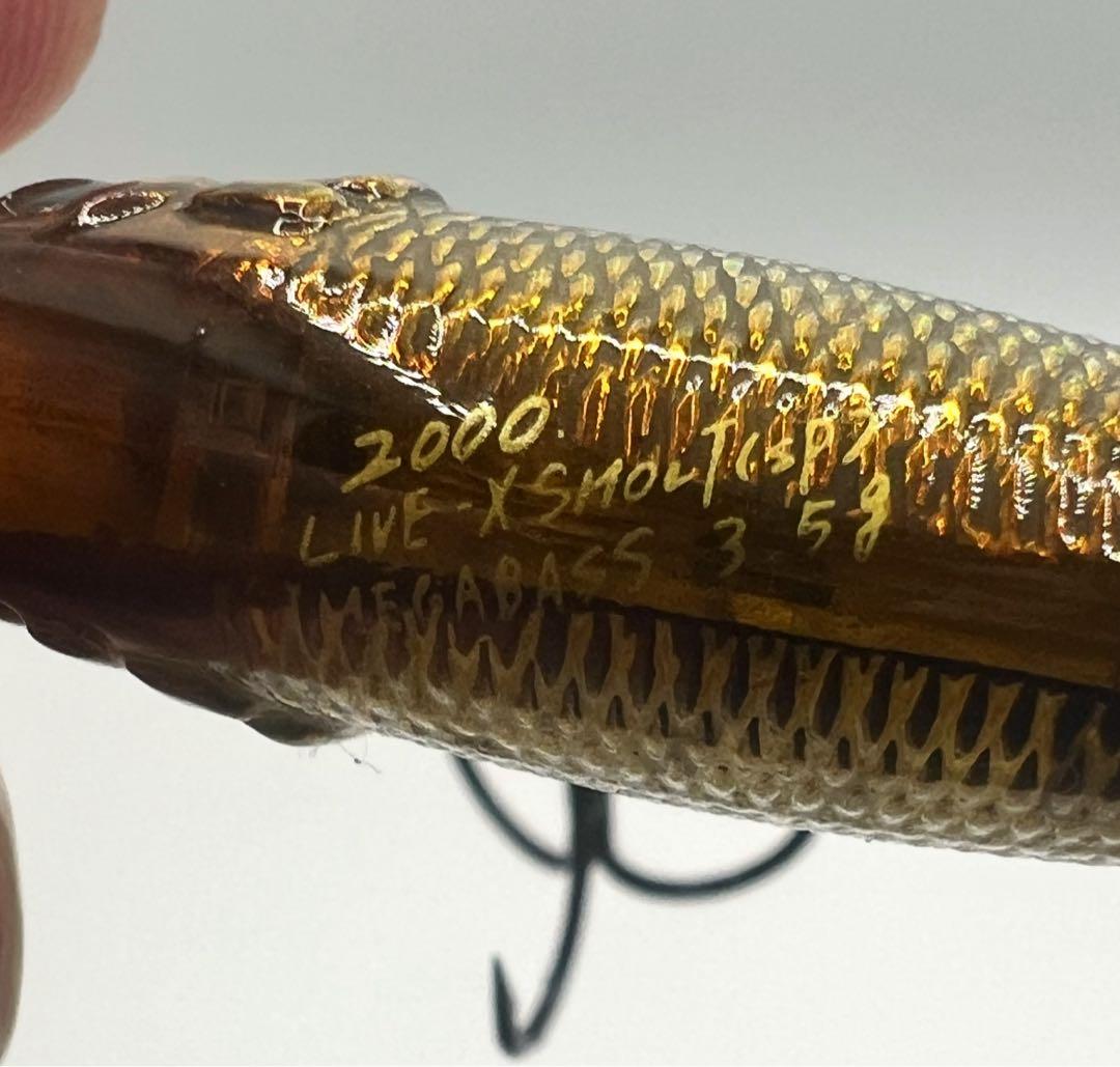 小型ミノー　6個セット　メガバス X55（Ｆ）LIVE-X SMOLT