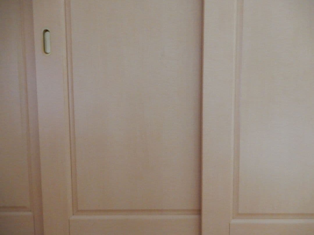 Nikon COOLPIX A900 ブラック※説明を良くお読みください