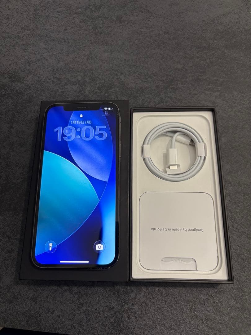 Apple iPhone 12 Pro グラファイト 256GB