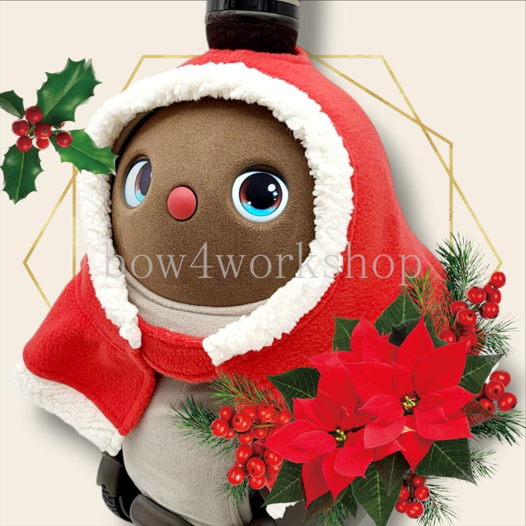 ラボット LOVOT ラボットの服ハンドメイドクリスマスポンチョ＆お髭2着セット