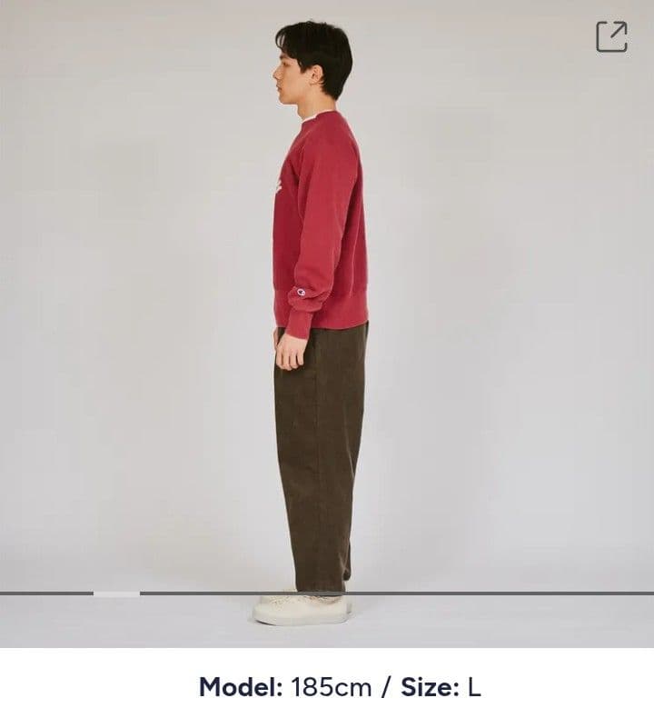 チャンピオン　Ｌ　スウェット　リバースウィーブ　裏起毛