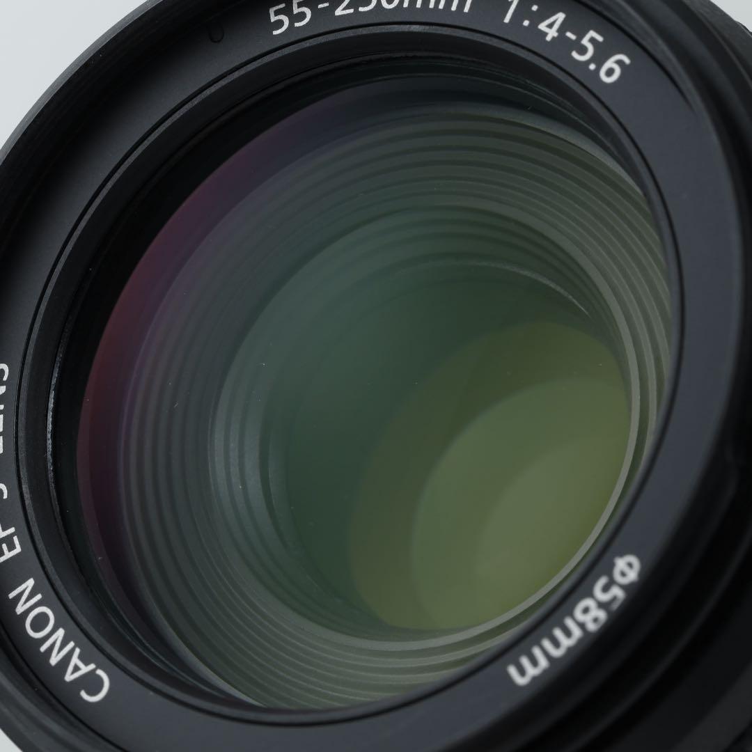 172★EF-S 55-250mm★CANONキヤノン★手ぶれ補正付き