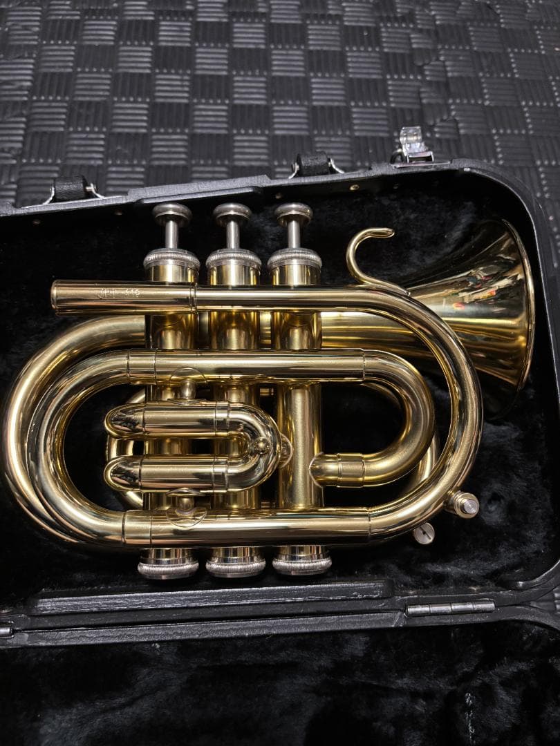 zen さまのJPT416 マウスピース無し