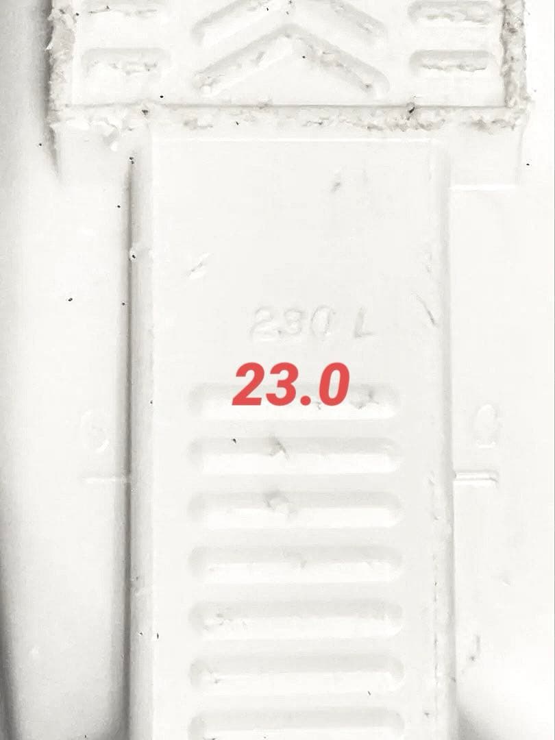 Atomic 110 アルペンスキーとHARTブーツセット