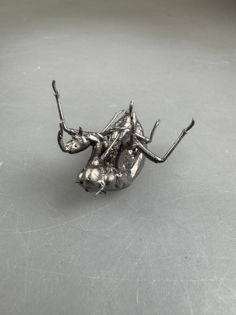 蝉　蝉の抜け殻　セミ　オブジェ　虫好き　金属製　標本