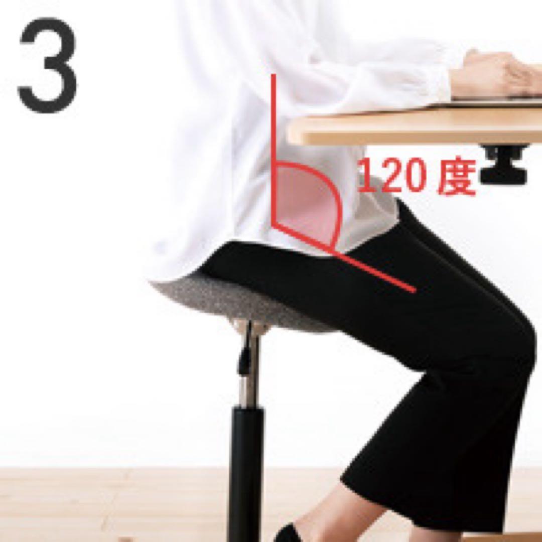 バランスシナジー（ラウンド型）（ボルドーの専用座面カバー付）