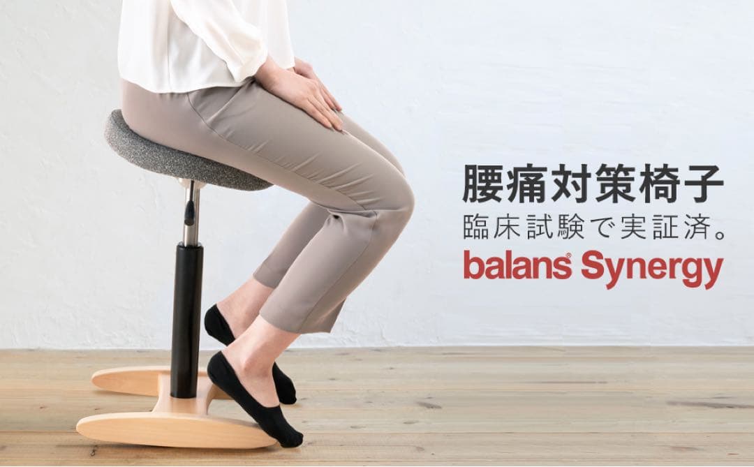 バランスシナジー（ラウンド型）（ボルドーの専用座面カバー付）