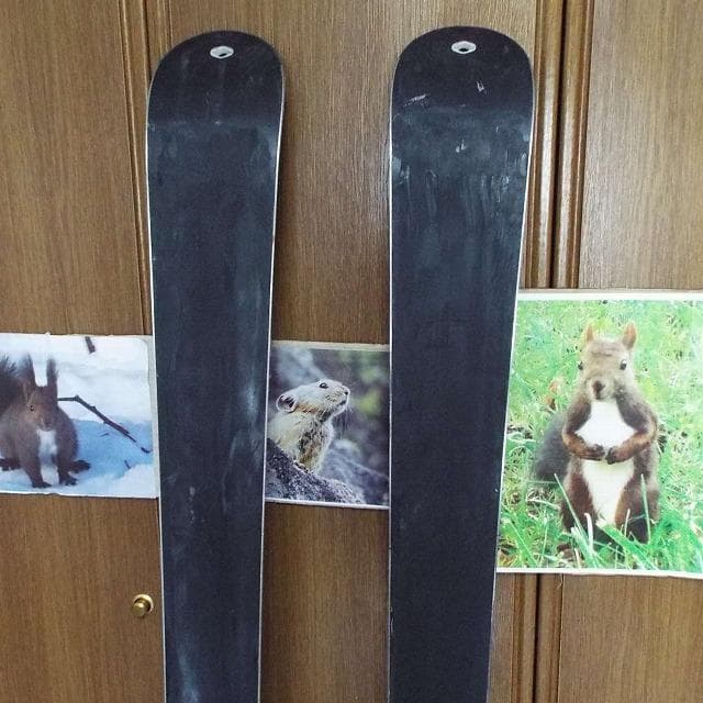 超美品_Volkl_Amaruq_163cm_TLT_インビス化_新品シール付