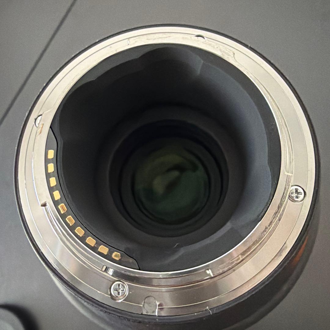 SIGMA 100-400mm F5-6.3 DG DN OS SONY α E