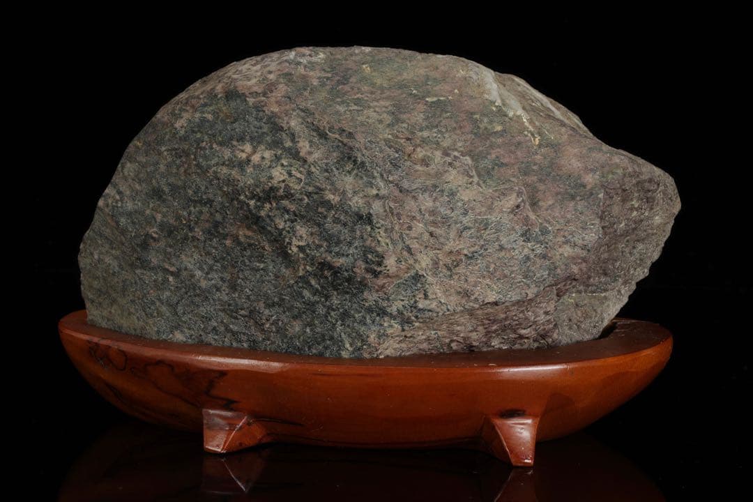 菊花石 菊紋石 一輪 白菊 台座付 2.2kg 鑑賞石 原石 水石 盆石 飾石