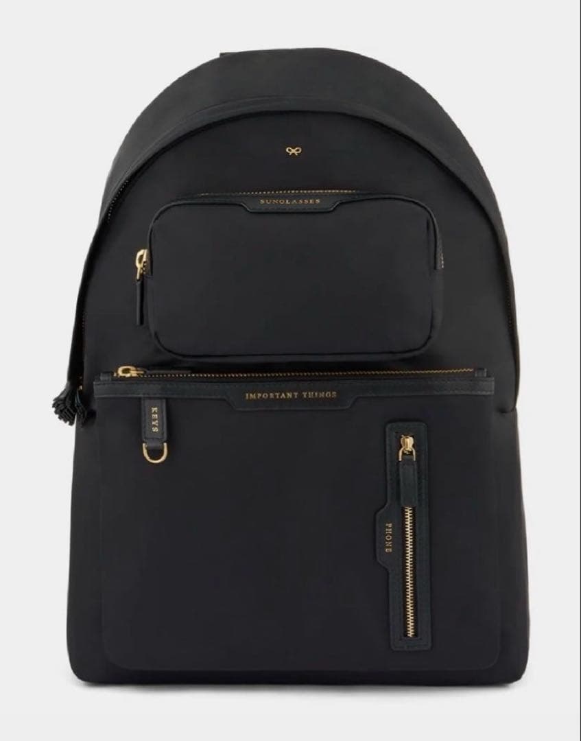 アニヤハインドマーチ マルチポケット　バックパック