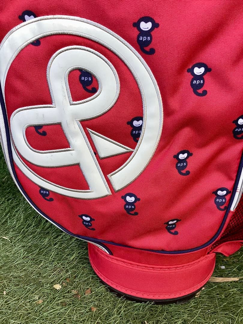 and per se アンパスィキャディバッグ