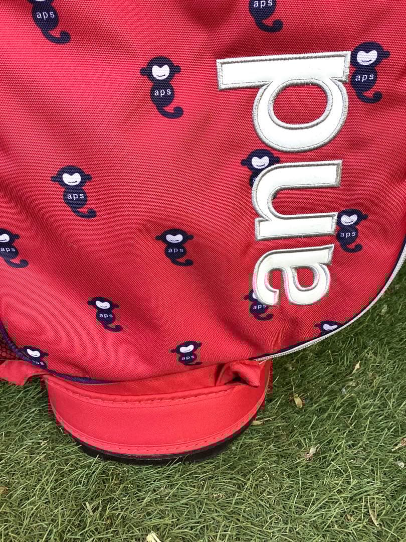 and per se アンパスィキャディバッグ