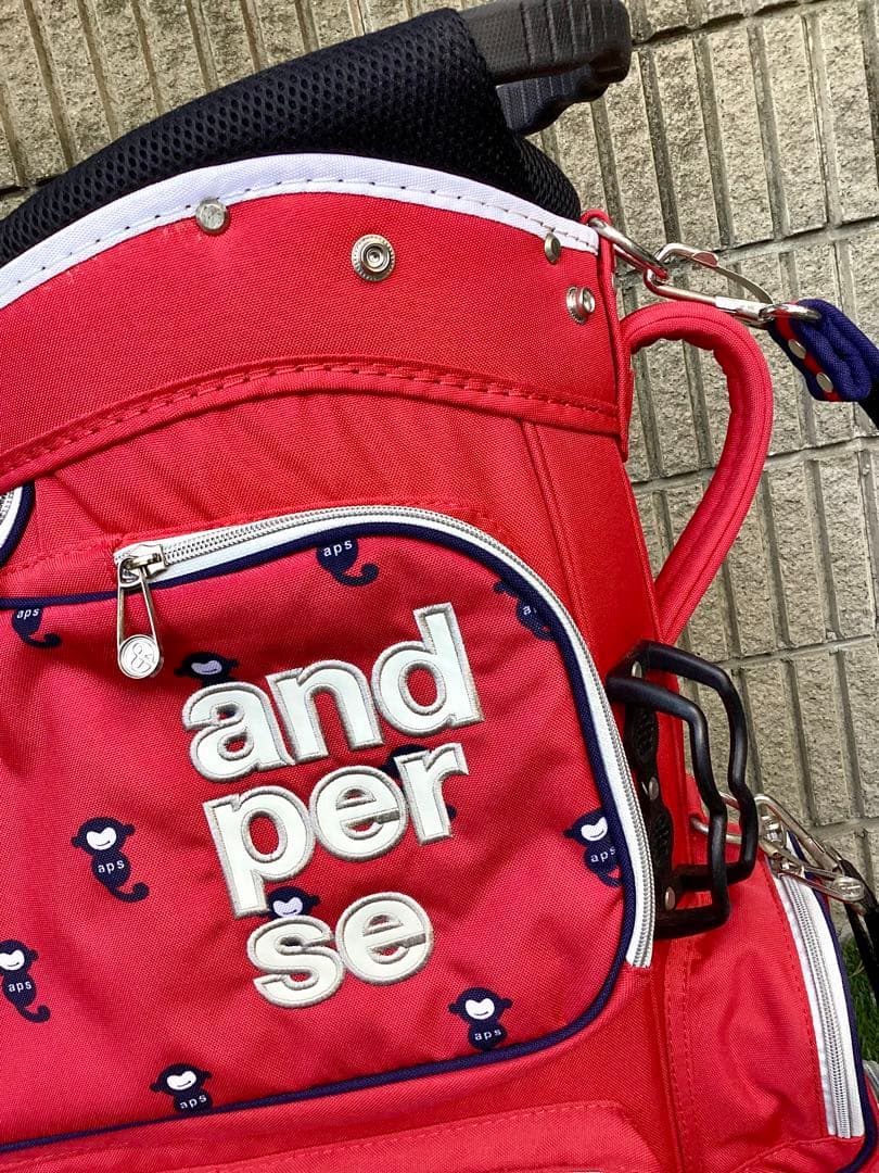 and per se アンパスィキャディバッグ