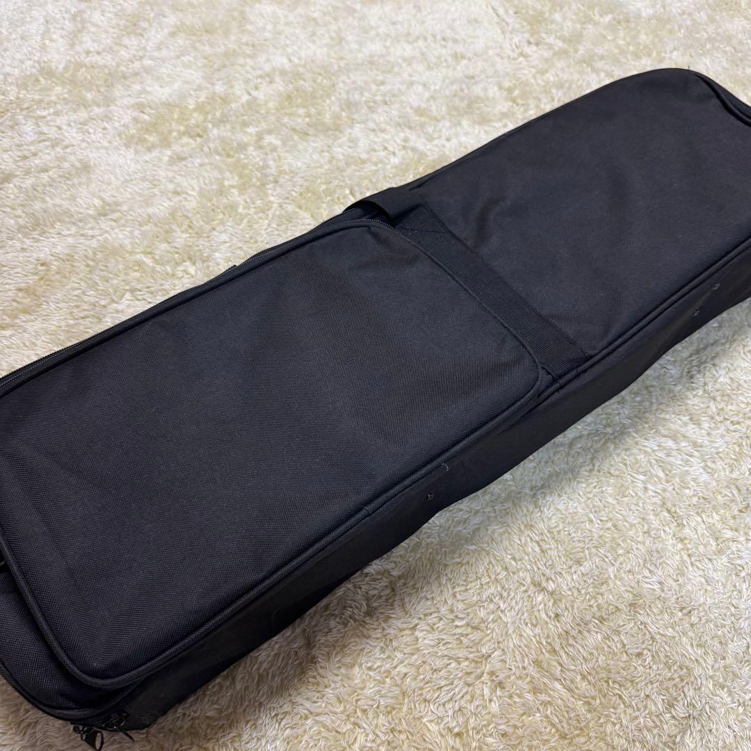 沖縄　三線　蛇皮　琉球 弦楽器　ケース他