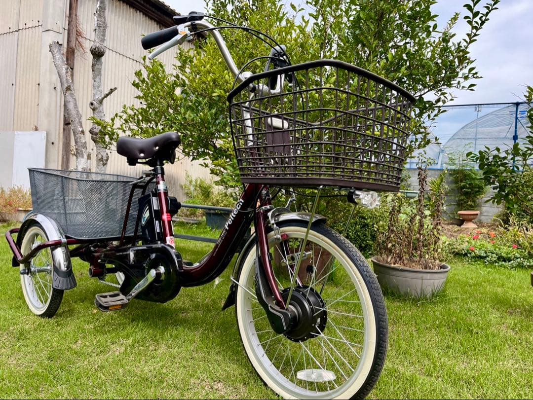 【ノンパンク】PELTECH TBDR-163L 電動アシスト三輪車 前後かご付