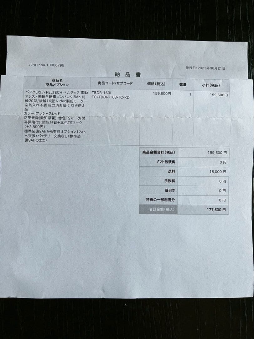 【ノンパンク】PELTECH TBDR-163L 電動アシスト三輪車 前後かご付