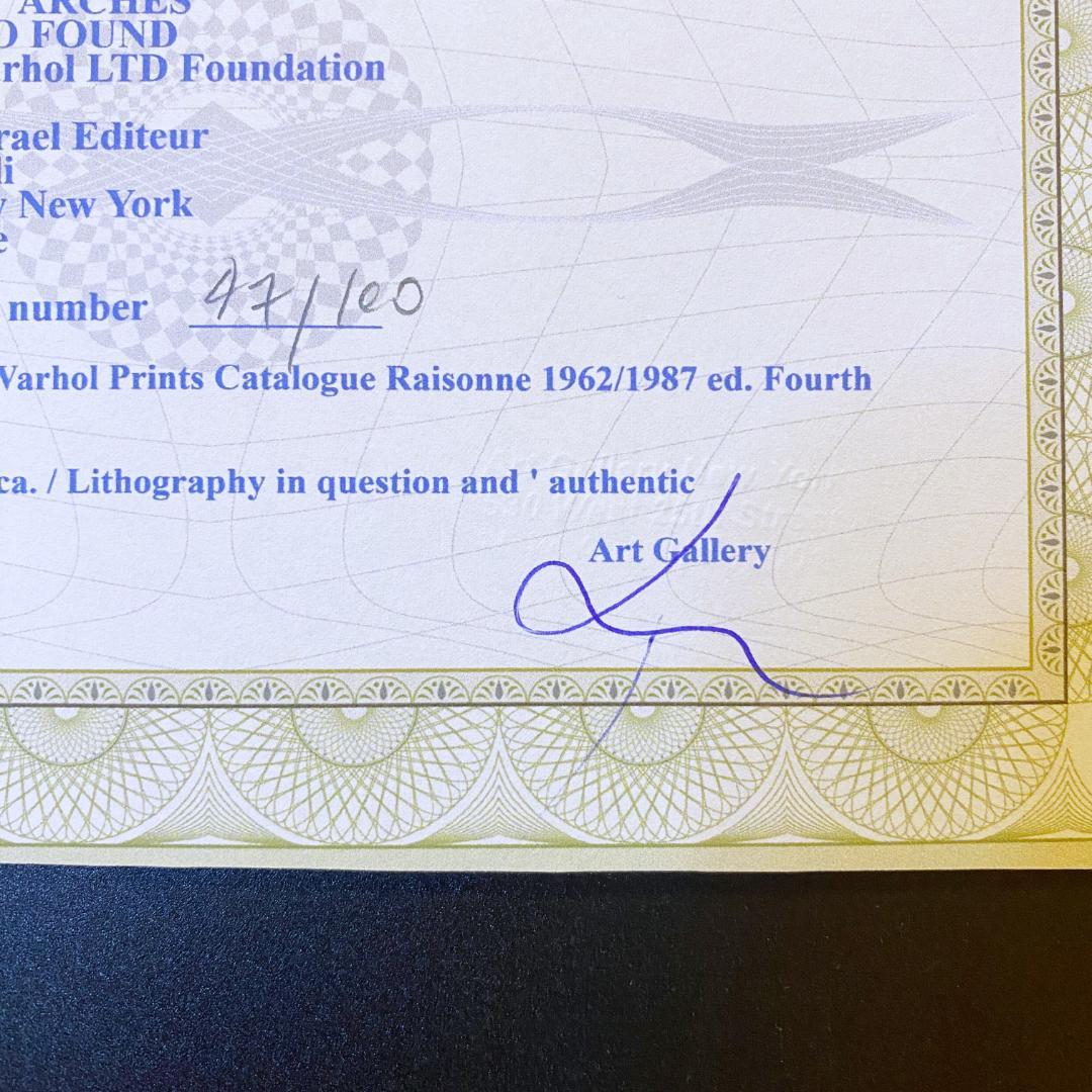 【模写】世界限定100枚 アンディ・ウォーホル ジョン・レノン リトグラフ 色