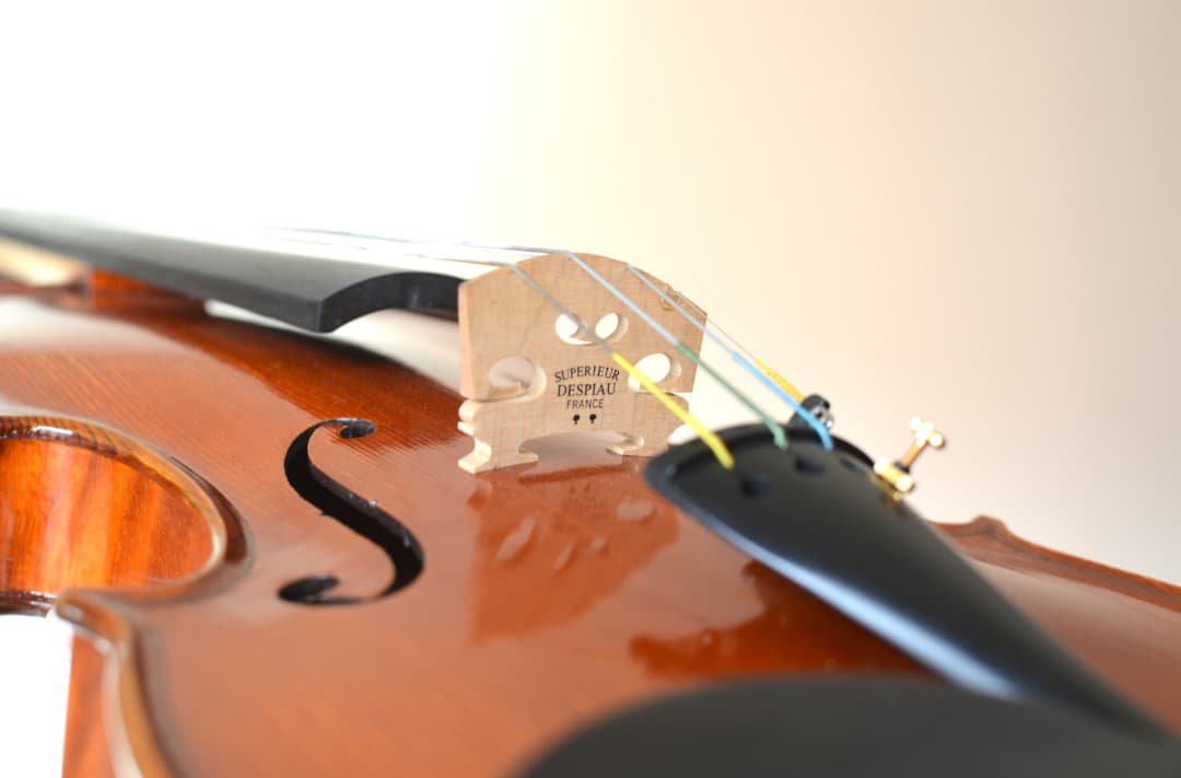 【Ayasa選定品】Gliga VASILE gama2 バイオリン 4/4