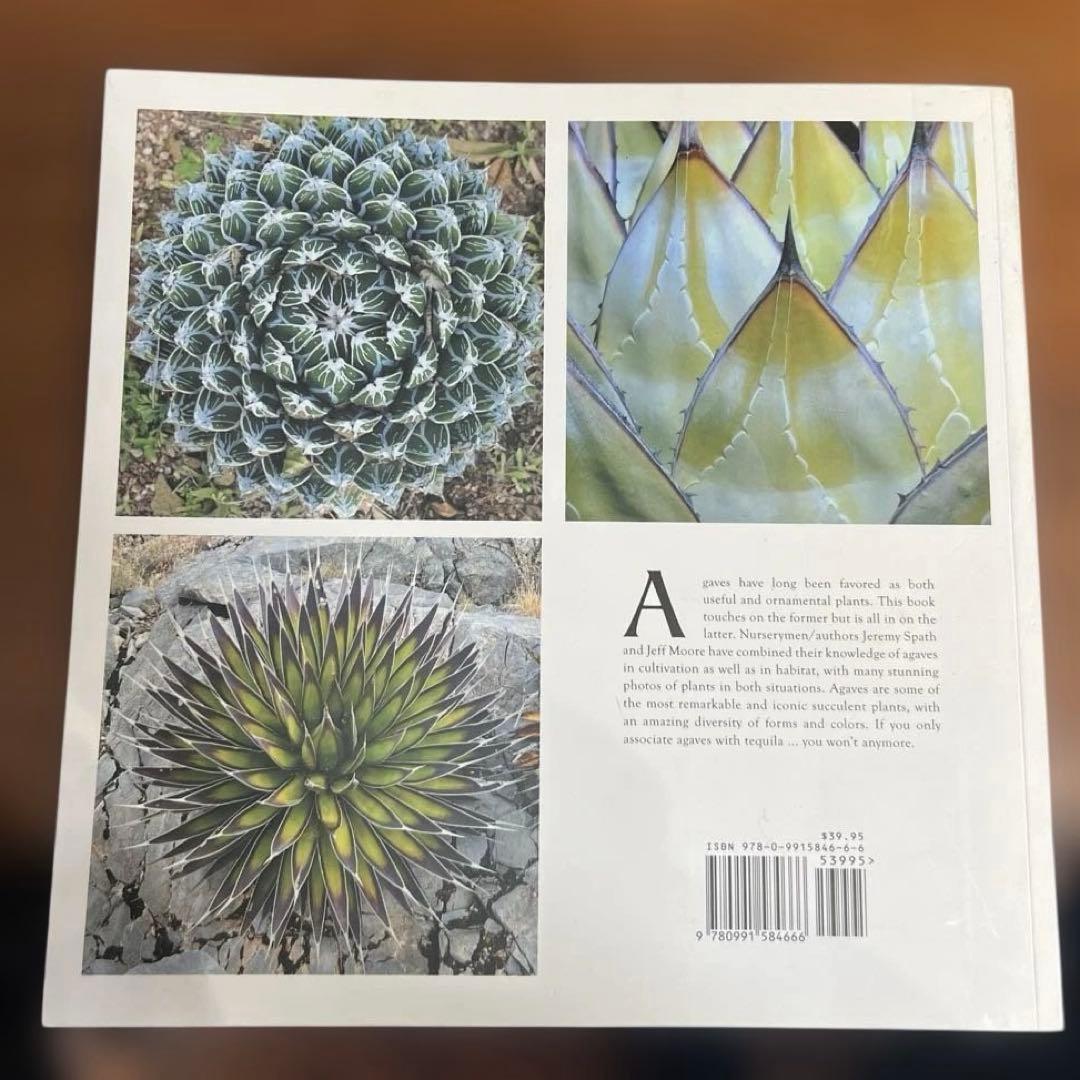 希少Agaves Species, Cultivars & Hybrids