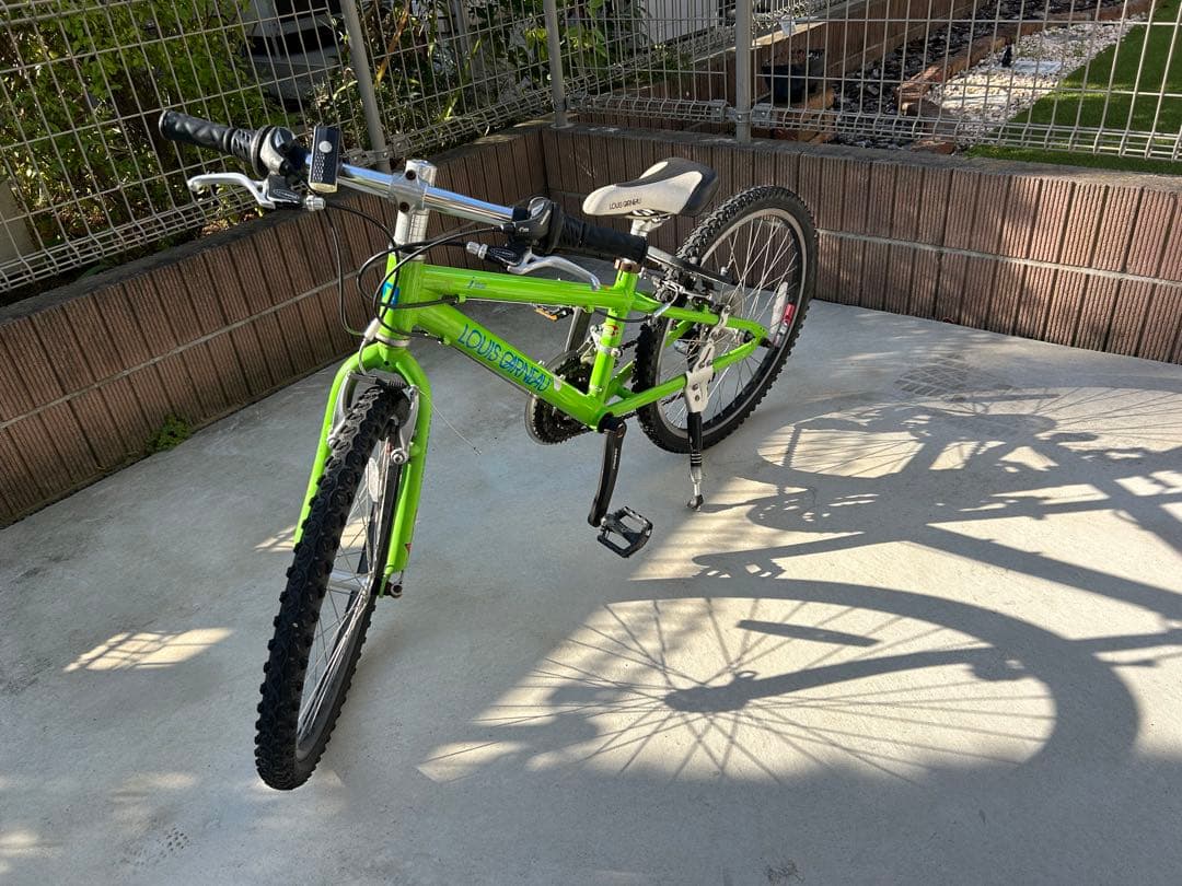 LOUIS GARNEAU ジュニアマウンテンバイク グリーン　J22(手渡し)