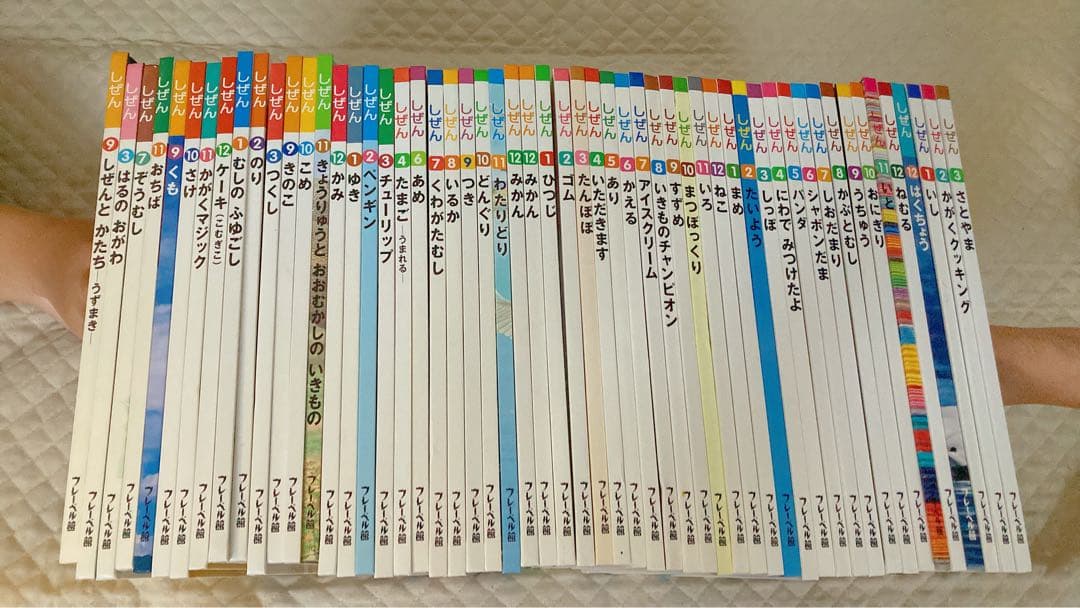 め*ん様 キンダーブック　しぜん 絵本 54冊　フレーベル館　お値下げしたました