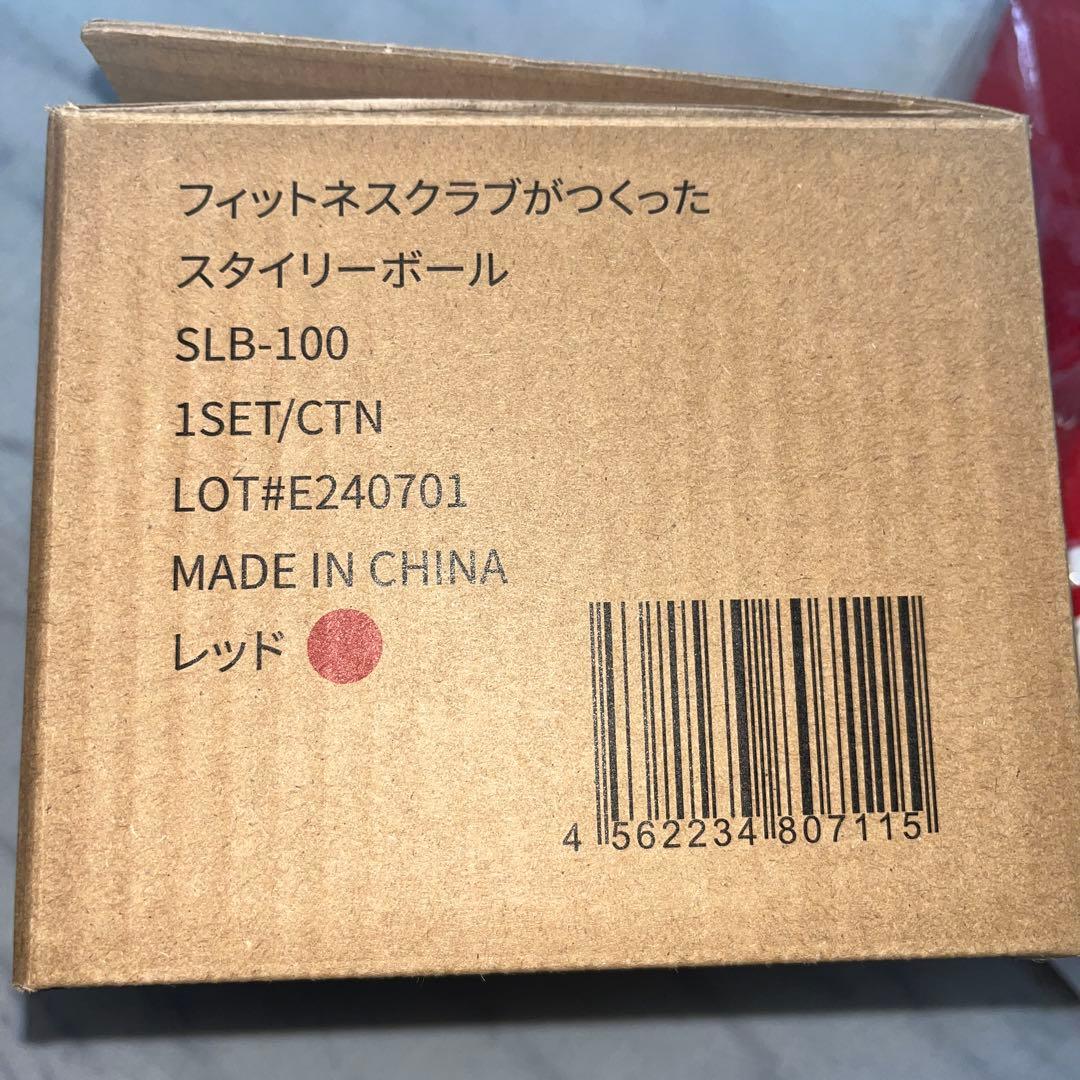 フィットネスクラブ スタイリーボール SLB-100