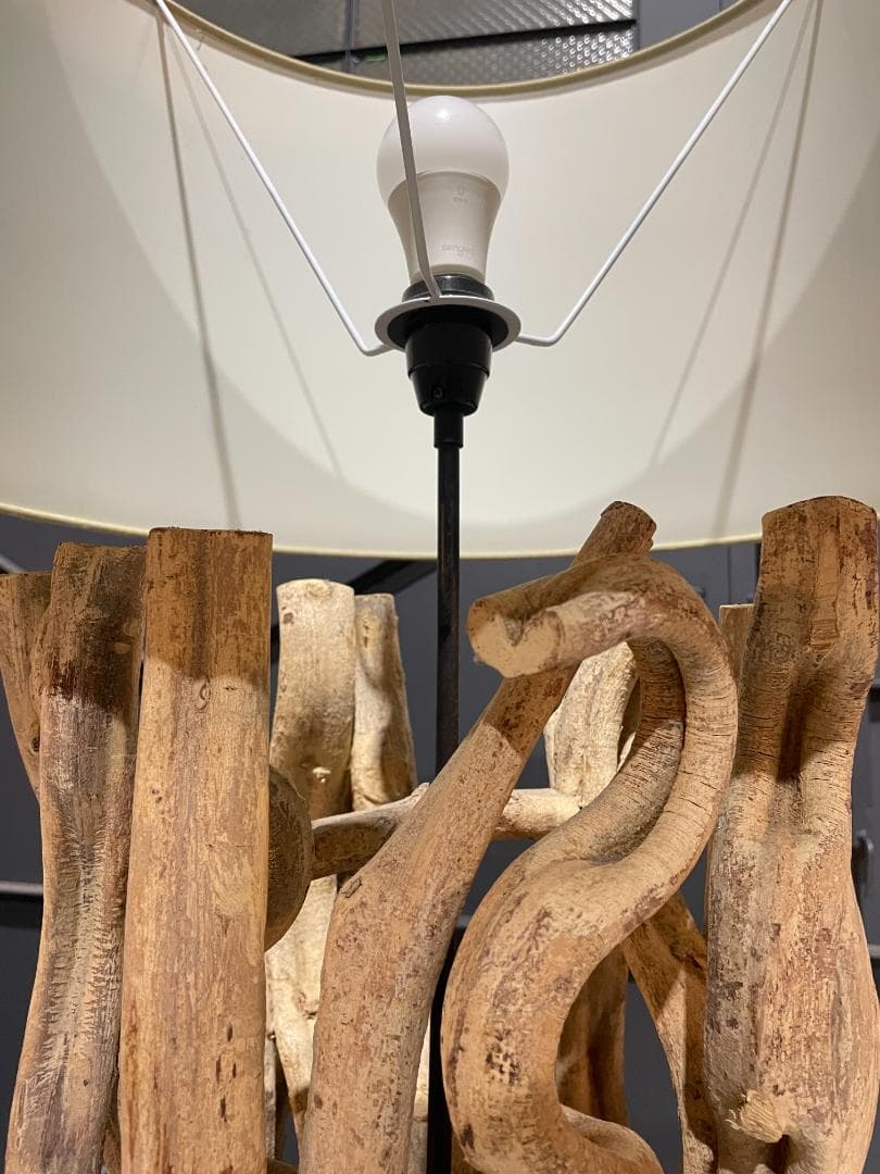 ◉KARE Design◉ Scultra　スカルトラ　流木 フロアランプ