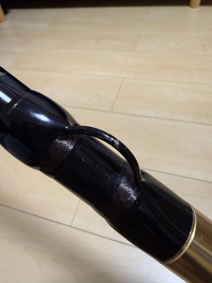 がま石　レギス3 くわせ520