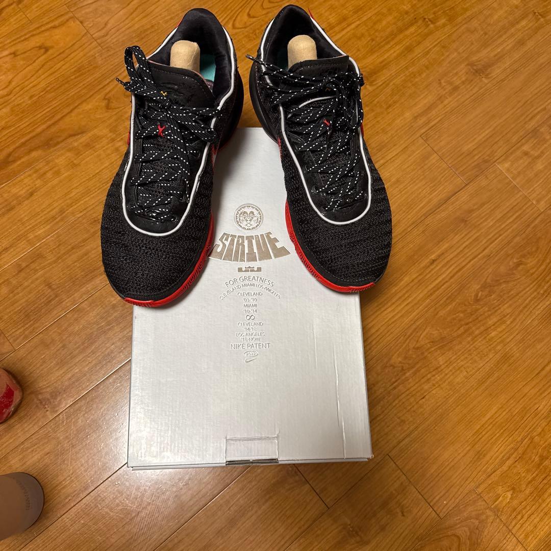 1週間セール[新品] Nike Lebron 20 XX “Trinity”