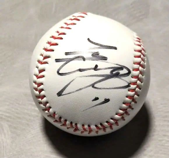 大谷翔平 花巻東高校 直筆サイン 色紙 日本ハムファイターズ