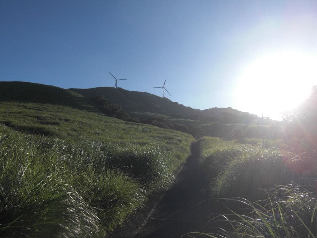 【完動品】CASIO EXILIM EX-Z600 デジタルカメラ 動作確認済み